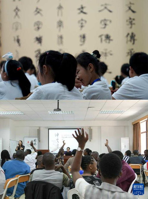 聯合國中文日 中文魅力 溝通世界