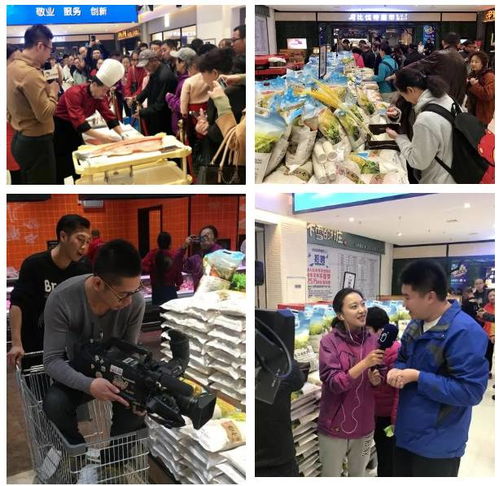 中國綠色食品產(chǎn)業(yè)營銷模式 進(jìn)入新時(shí)代 黑龍江豐收季 啟動(dòng)