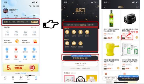 產(chǎn)品分析報(bào)告 盒馬鮮生的前世今生