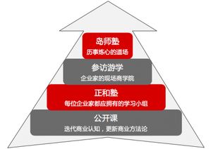 做企業(yè)家的良師益友 正和島學(xué)習(xí)服務(wù)體系全面升級