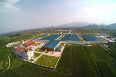 奶牛休閑觀光牧場:君樂寶優致牧場